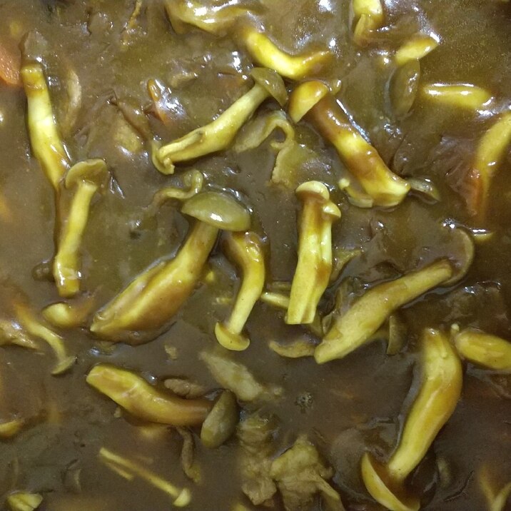 【簡単】【時短】きのこたっぷりカレー